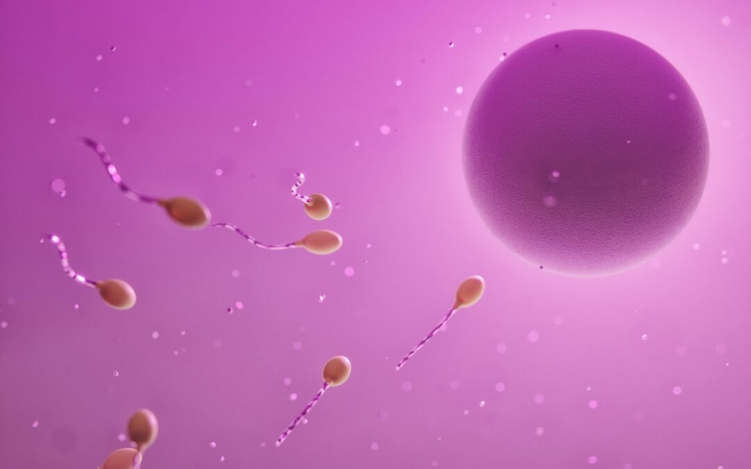 Shockwave therapie is veilig voor zaadkwaliteit en testosteron