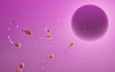 Blog Shockwave therapie is veilig voor zaadkwaliteit en testosteron